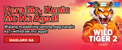 Experience Ultimate Casino Thrills